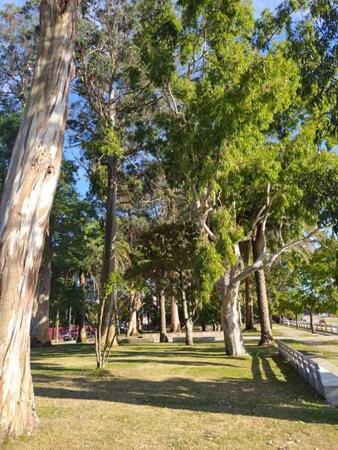 Apartamentos Mar De La Concha Vilagarcia de Arousa Bagian luar foto